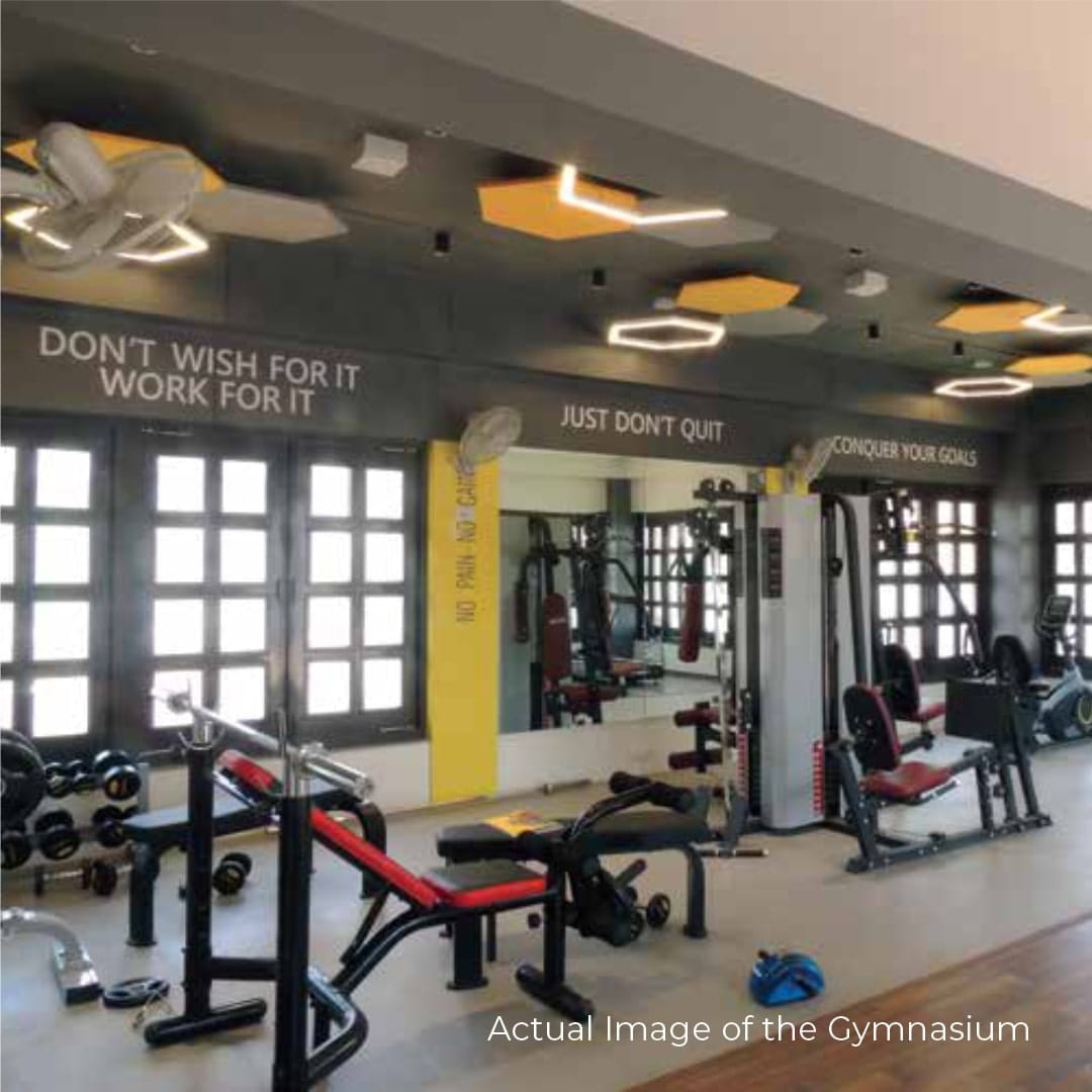 Gymnasium