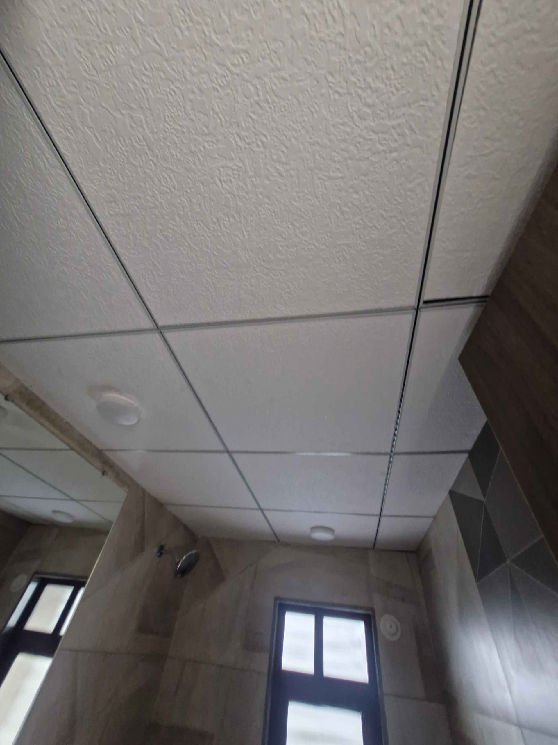 Fall ceiling